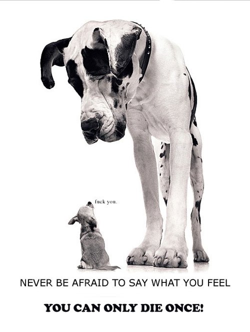 nekad nebaidies pateikt ko tu jūti!